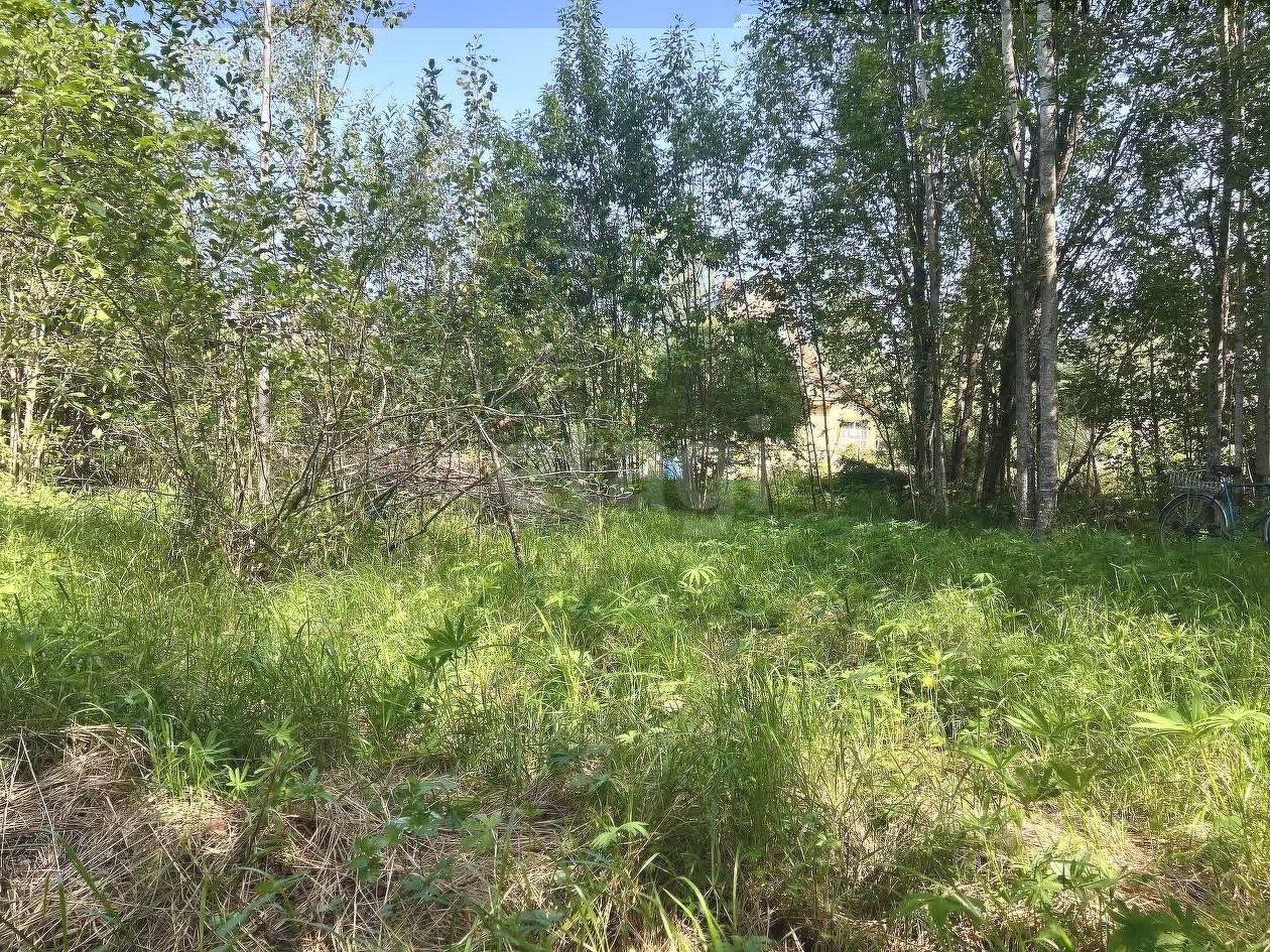 Продажа земли Посадников остров садоводческий массив, 8-я линия