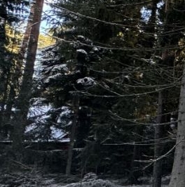 Продажа земли Гармония СНТ, 3-я Озерная линия,  д. 11