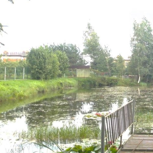 Земельный участок д. Скотное, 17А