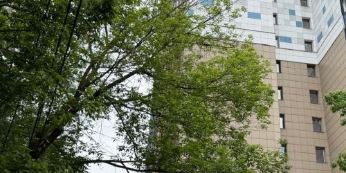 2-комн квартира улица Академика Скрябина, 6