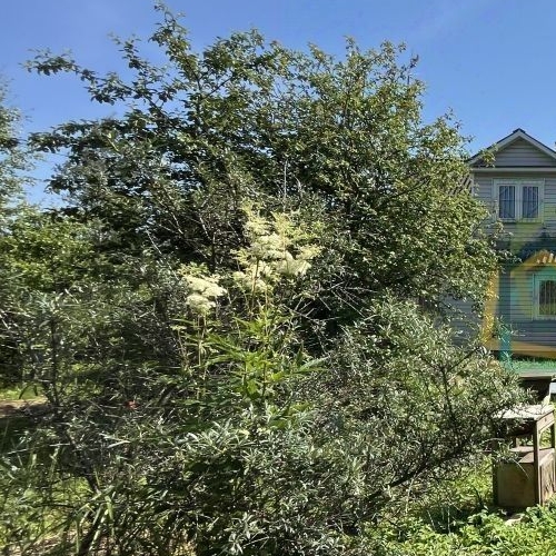 Коттедж/дом д. Проба, шоссе Пробинское, 55