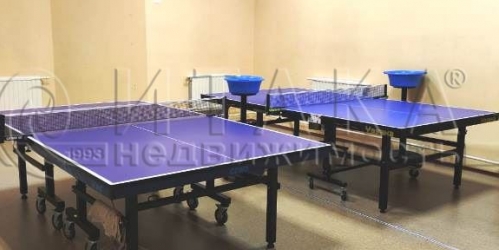 Торговое помещение Павловск, Медвежий,  д. 7