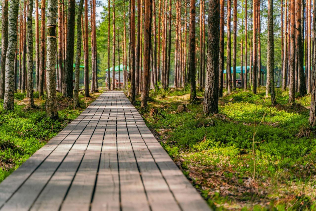 Продажа земли д. Разметелево, 163