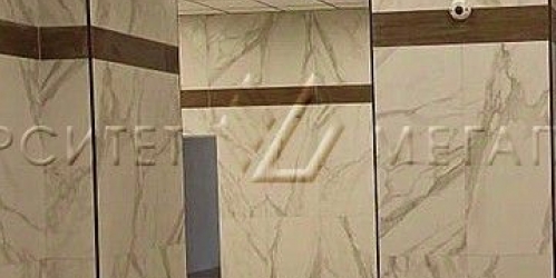 Отдельное здание Ружейный переулок,  д. 6