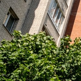 Продажа 4-комн квартиры на вторичном рынке улица Ленсовета, 88