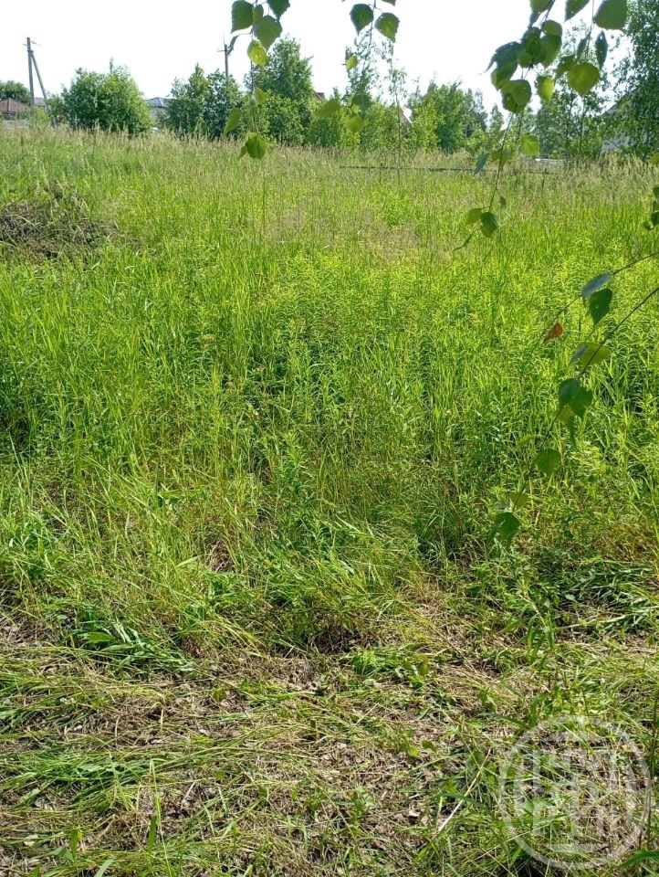 Продажа земли Оранжерейка кп, улица Березовая