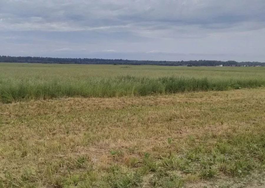 Продажа земли д. Аропаккузи, улица Луговая