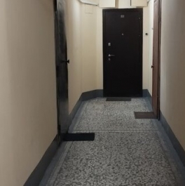 Продажа 2-комн квартиры на вторичном рынке Северный пр-кт,  д. 91,  к. 1