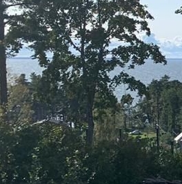 Продажа земли Золотые Пески кп, пос. Пески, д. 142 Продажа земли Золотые Пески кп, пос. Пески, д. 142