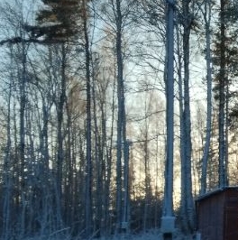 Продажа земли пос. Октябрьское, улица Дачная Продажа земли пос. Октябрьское, улица Дачная