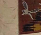 Продать Квартиры вторичка Новосибирская улица, 21   