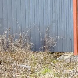 Продажа дома Чайка СНТ, 5-я линия,  д. 142