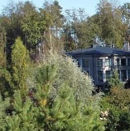 Продажа земли Янтарный Бор кп, д. Кирполье Продажа земли Янтарный Бор кп, д. Кирполье