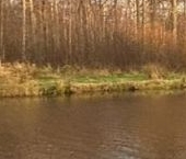 Продать Квартиры вторичка пос. Металлострой, Центральная улица, 19   