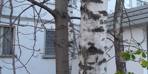 2-комн квартира Абрамцевская улица, 8А