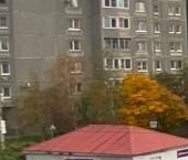 Продать Квартиры вторичка д. Янино-2, улица Рябиновая, 8к1   