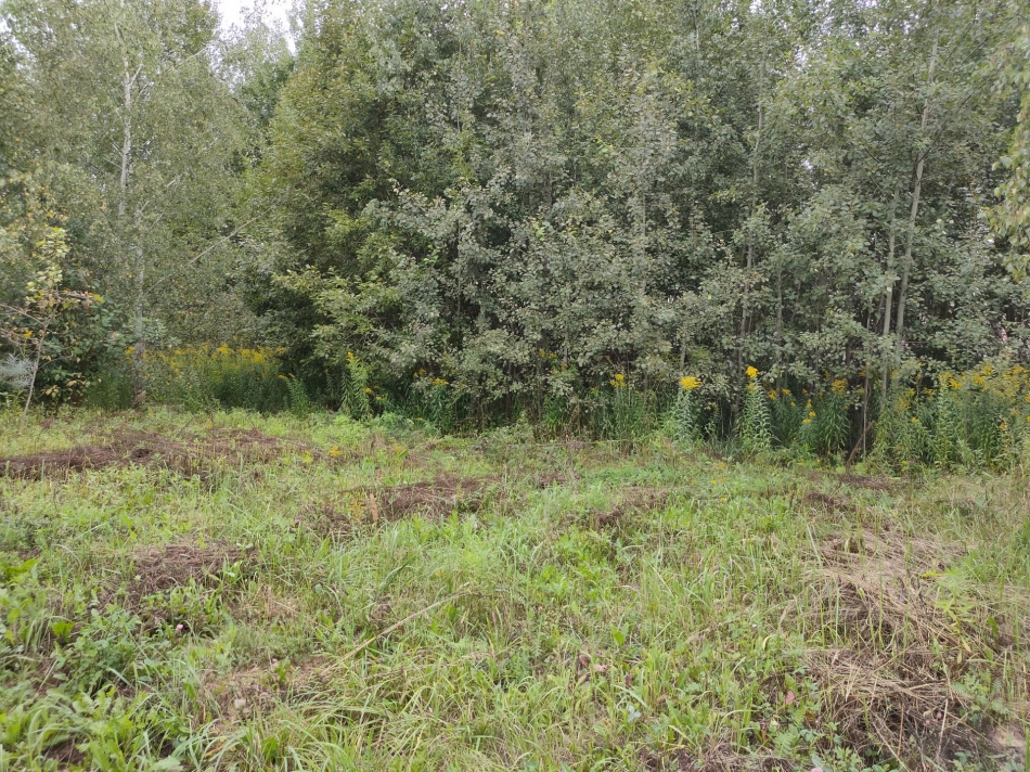 Продажа земли коттеджный посёлок Согласие-2, коттеджный посёлок Согласие-2