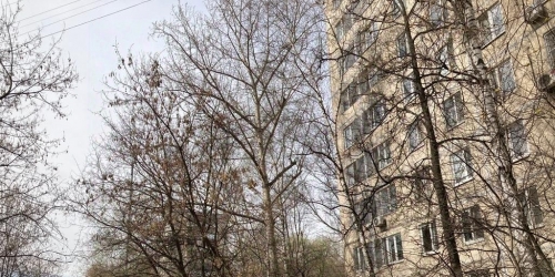 4-комн квартира улица Плещеева,  д. 11В