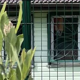 Продажа земли Посадников остров садоводческий массив, 8-я линия Продажа земли Посадников остров садоводческий массив, 8-я линия