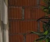 Продать Квартиры вторичка Лахта тер., улица Новая, 51к16   