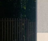 Продать Дачи, коттеджи, загородные дома Сосновские Горки кп, пос. Сосново   