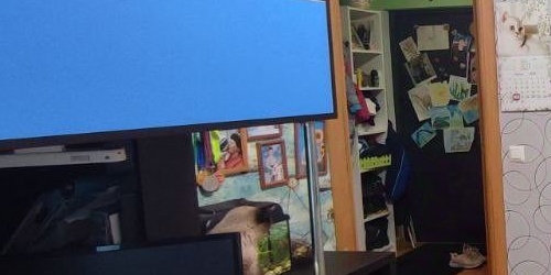 1-комн квартира Всеволожск, улица Шинников, 1к4