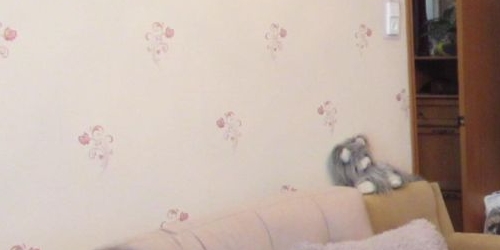 2-комн квартира улица Бабушкина, 59