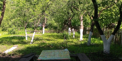 Земельный участок Пушкин г, Гражданская ул ,  д. 24