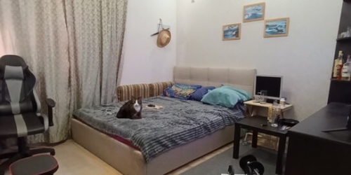 3-комн квартира ул Всеволода Вишневского,  д. 11