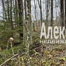 Продажа земли Садовые участки