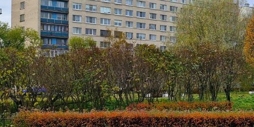 1-комн квартира проспект Ветеранов, 93