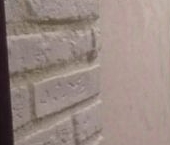 Сдать в аренду Квартиры вторичка Видное, улица Радужная, 6к1   