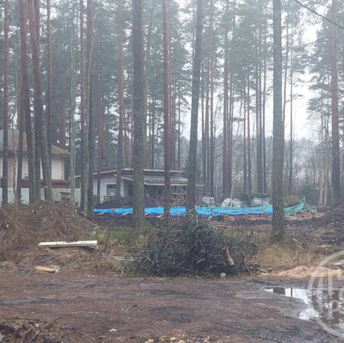 Земельный участок Вырица пос., Куйбышева ул.