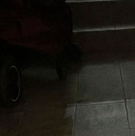 Аренда комнаты улица Большая Зеленина, 31/1 Аренда комнаты улица Большая Зеленина, 31/1