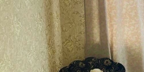 1-комн квартира Пушкин, Гусарская улица, 4к3