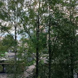 Продажа 2-комн квартиры на вторичном рынке Солнечногорск, Сенежский проспект