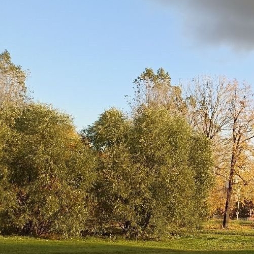 2-комн квартира проспект Обуховской обороны, 138к2