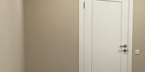 2-комн квартира Зеленый проспект, 50