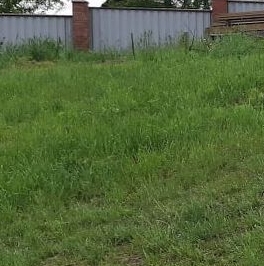 Продажа земли Деревня Вындин остров, улица Центральная, 31