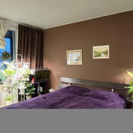 Продажа 3-комн квартиры на вторичном рынке проспект Бакунина,  д. 33 с1