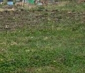 Продать Земельные участки, земля д. Сабры, улица Круговая, 9   