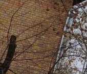 Продать Квартиры вторичка Семеновский переулок, 18А   