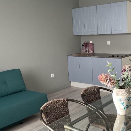 Студия пос. Шушары, проспект Новгородский, 2к1