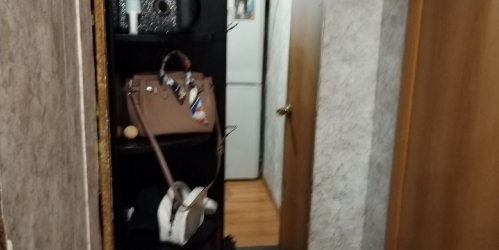 1-комн квартира улица Фабрициуса,  д. 24 с1