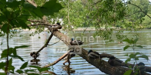 3-комн квартира Прибрежный проезд,  д. 7