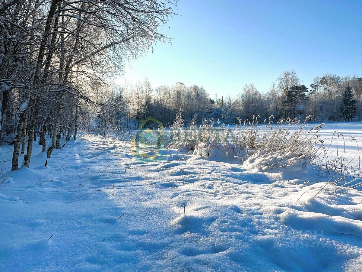 Продажа земли пос. Сосново, улица Озерная, 42