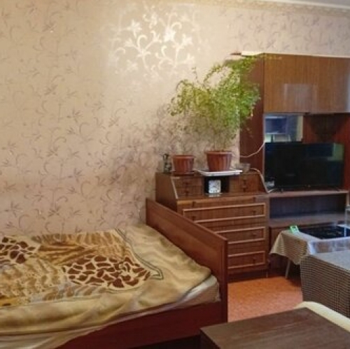 1-комн квартира Камышовая улица,  д. 6 к1