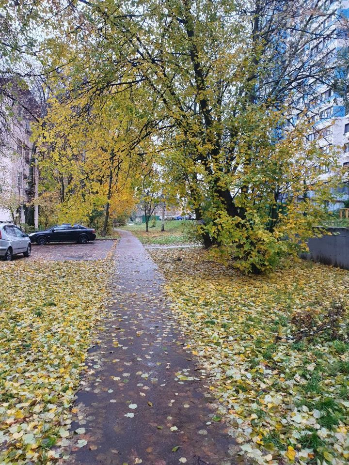 Продажа 1-комн квартиры на вторичном рынке Королев, улица Мичурина, 8