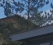 Продать Дачи, коттеджи, загородные дома Рябово садоводческий массив, Темп СНТ  72 