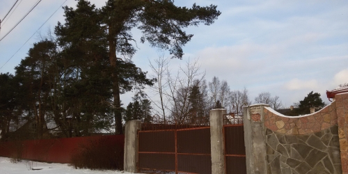 Коттедж/дом посёлок Лисий Нос Приморское шоссе